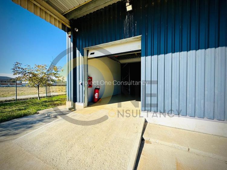 Hală + sediu firmă (locuință de serviciu) + teren de vânzare în Balotești, Ilfov - 7