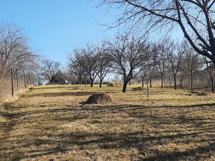 Teren de vanzare in Turda - 3