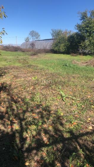 Rezidential Ciorogarla  ,1352mp, la padure  ideal pentru casa sau investitie - 2