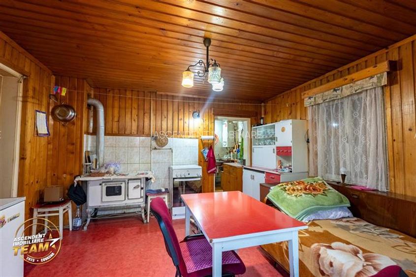 Casa in inima statiunii Covasna, cu gradina, vie si pomi fructiferi - 14