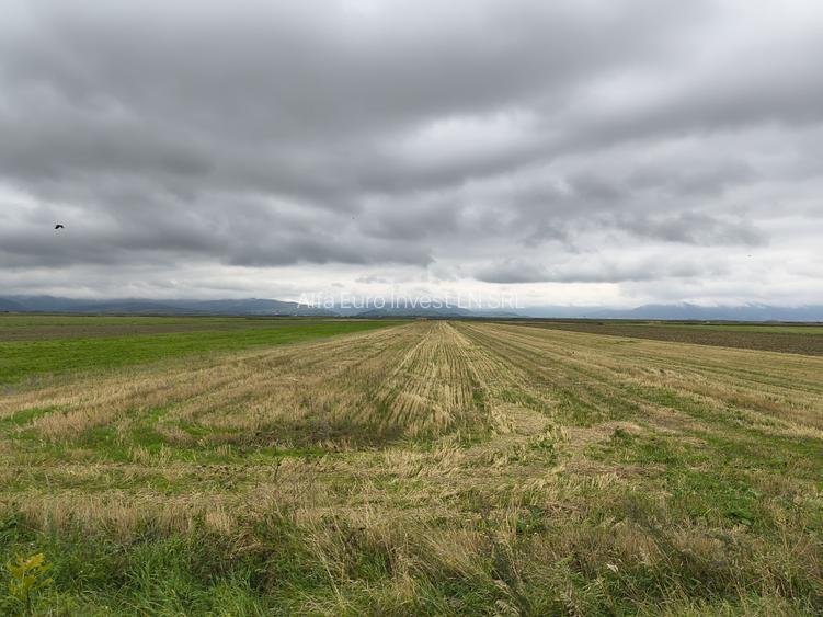 Teren intrare Prejmer - 2