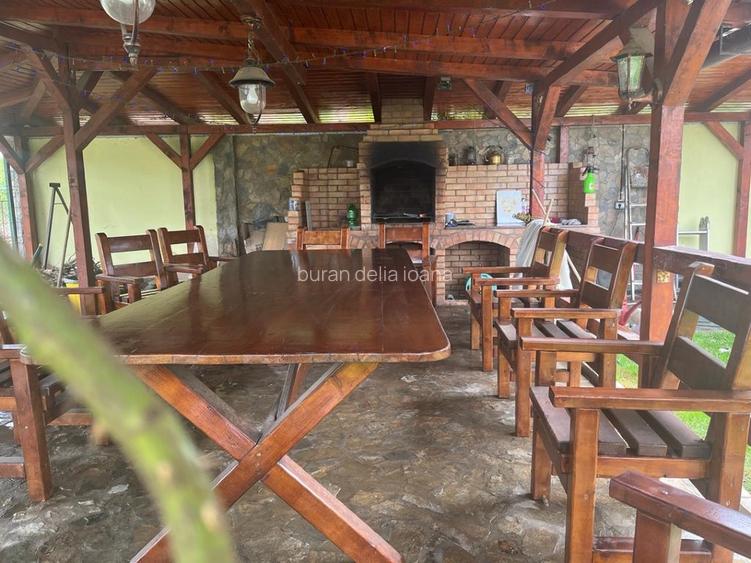 Vila de vanzare, la intrare in Paclisa - 13