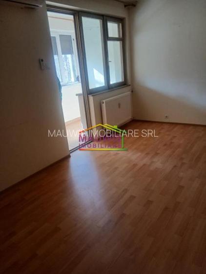 Baba Novac/parc ior - 3