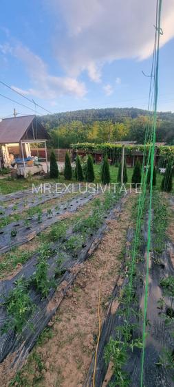 Casă P+M cu 1.558 mp teren, livadă și garaj | Barza, Gorj Comision 0% - 8