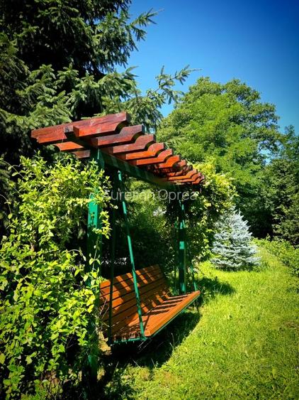 Casă de vacanță tip Chalet pe Valea Muresului  - 7