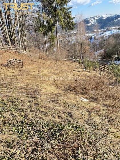 Cabana Zona Belis l 1500 MP l P+M l Alba - 23