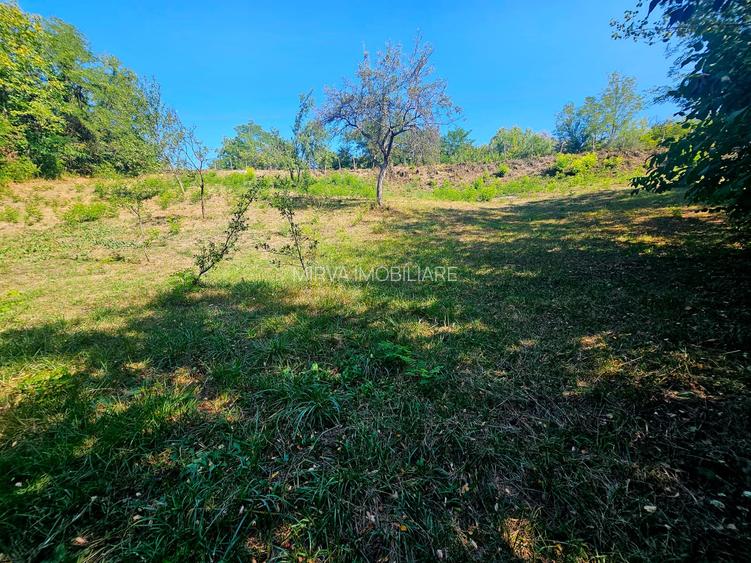 Teren intravilan 2322 mp, Păcuri – vedere superbă spre pădure! - 10