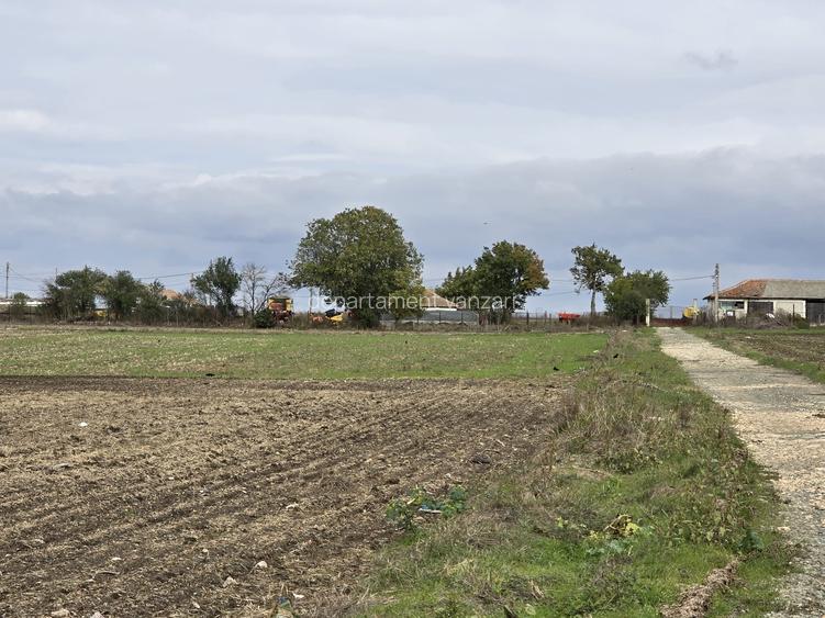 Amzacea- sat G. Scarisoreanu -Ferma zootehnica , 5,1 hectare - 8