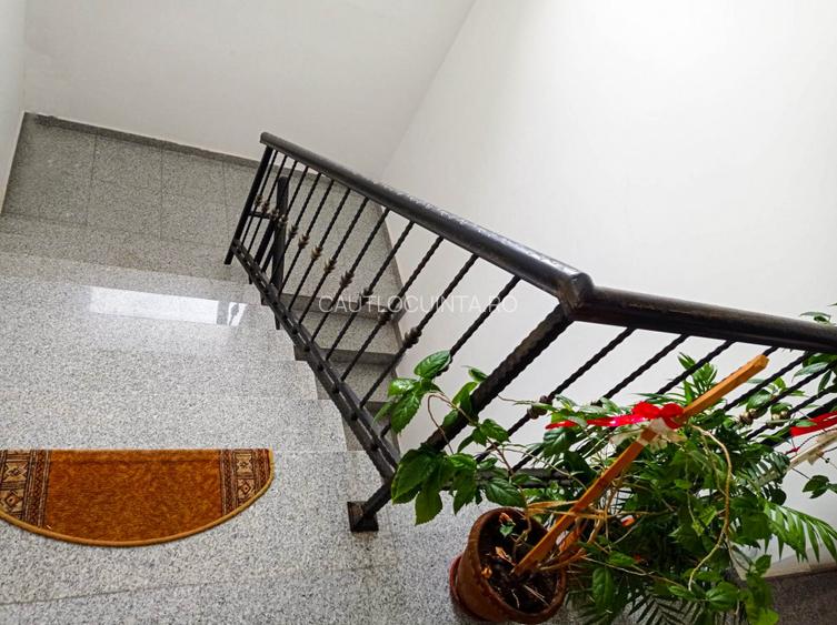 2 Camere | Bucurestii Noi | Bazilescu | Pajura | Damaroaia  - 13