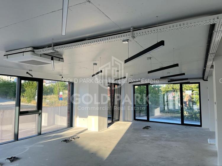 Spatiu de Birouri/Cladire de Birouri-Zona Europa-Garaj/Parcari/Curte - 3