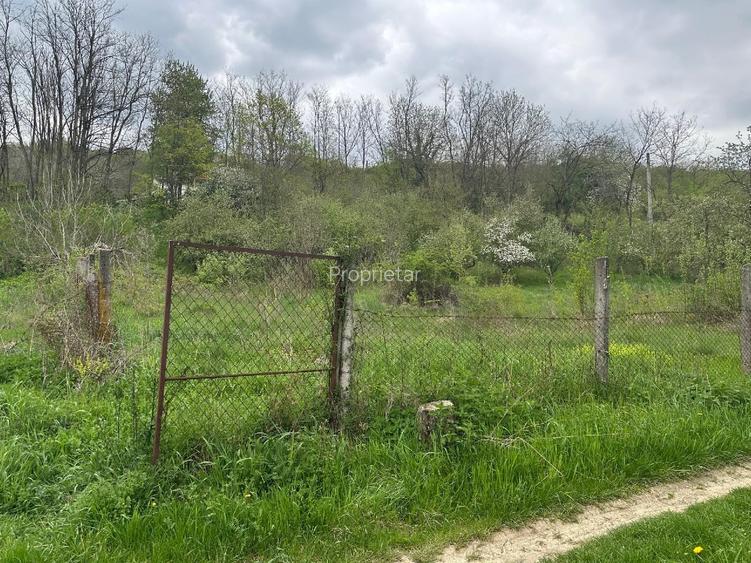 Imobil comercial/turistic S+P+2 - oportunitate investitie Muereasca ( Valcea)  - 9