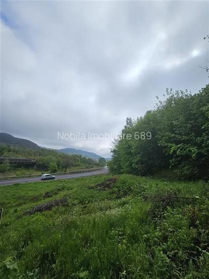 TEREN  PENTRU BUSSINESS 2842 MP DE VANZARE IN STATIUNEA  TARGU OCNA - 4