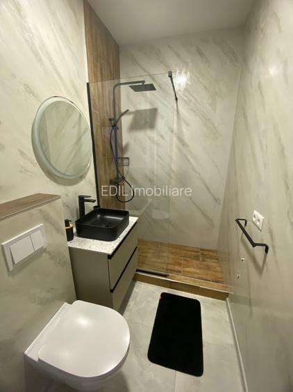 Apartament de închiriat, 2 camere, 50 mp, Horea zona UBB litere - 10