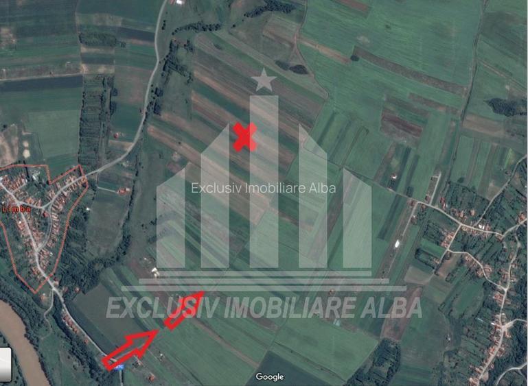 Teren extravilan | Agricol | 8000 mp | 14 ml deschidere | Limba - 3