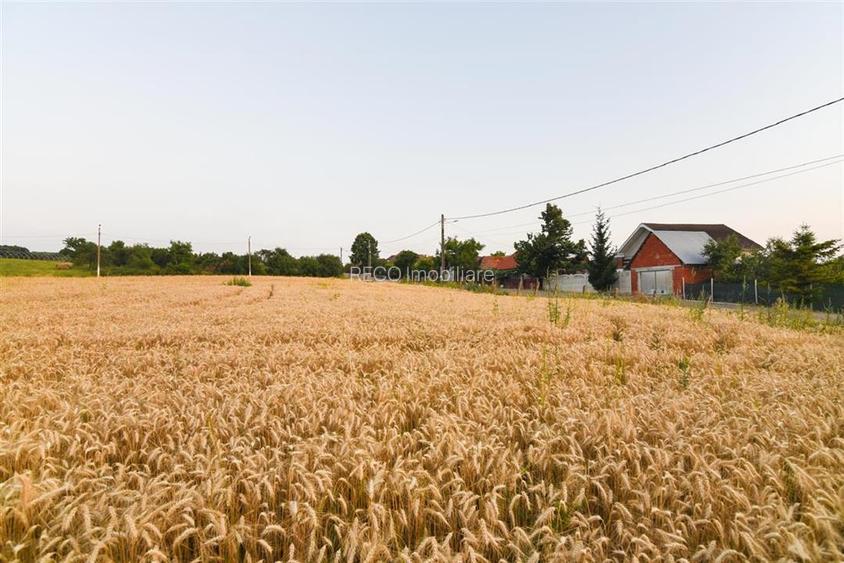 RECO Teren intravilan pentru casa  Lazareni - 2