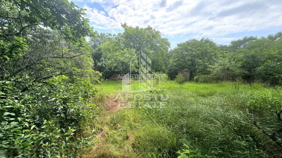 Casa individuala 3 camere, teren 678 mp Parneava - 12