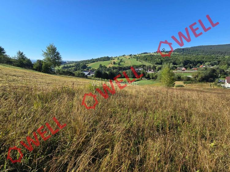 De vânzare teren extravilan în Întorsura Buzăului, Brădet! - 8