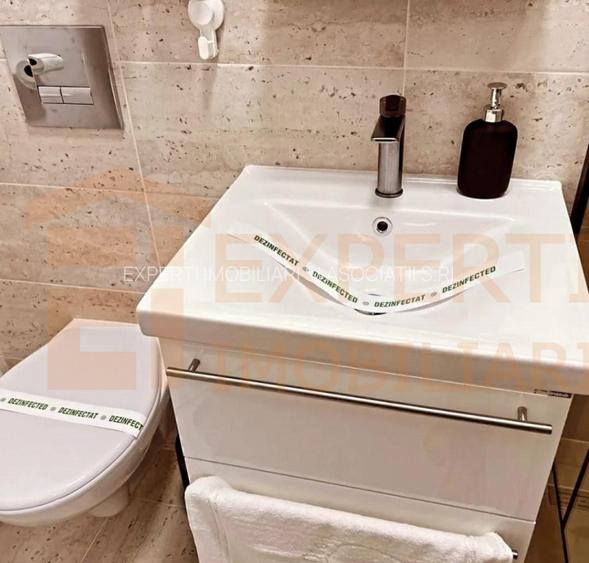 Garsoniera de inchiriat, in zona Casa de Cultura - 7