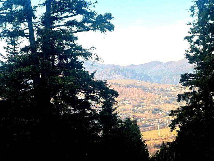 Vanzare 5,3 ha pasune deasupra Voronetului Suceava - Proiect Turistic - 4