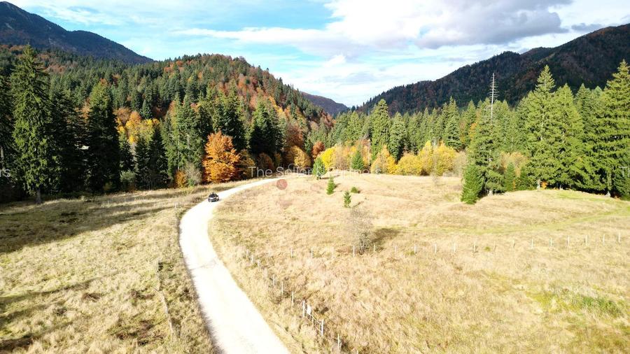 Poiana lui Manole - teren Intravilan - 10