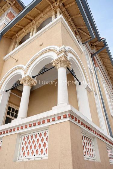 Vila  Aviatorilor cu Destinatie  Premium Business sau Ambasada - 9