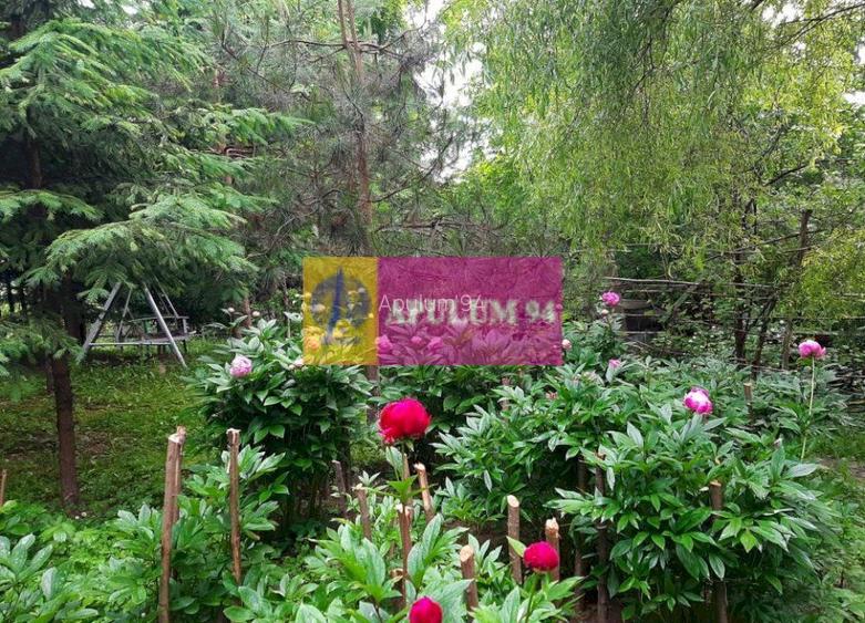 Casă de vânzare în Provița de Jos - 54