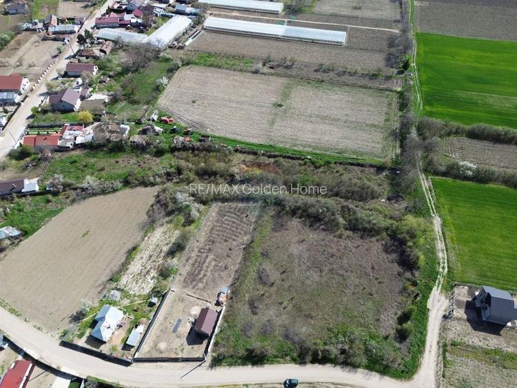 Teren 1,660mp Radulesti / Com Vanatori - 9