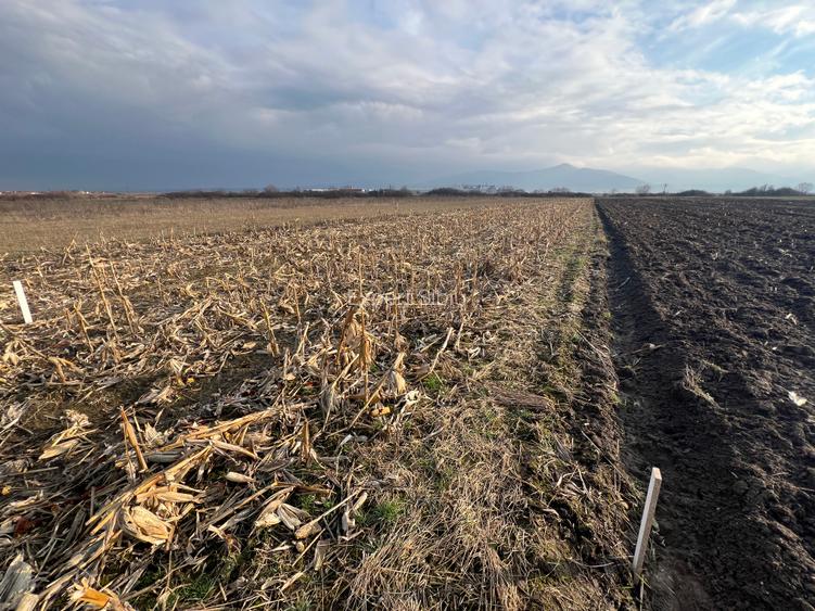 VÂNZARE TEREN EXTRAVILAN – COMUNA CRISTIAN, ZONA „LA SERE” - 3
