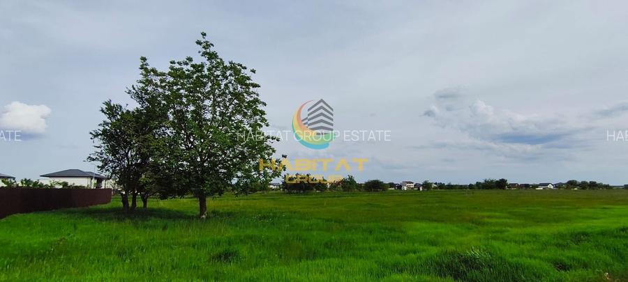 Teren 600 mp | Deschidere 16 m | Zona Cazanului | Berceni - 3