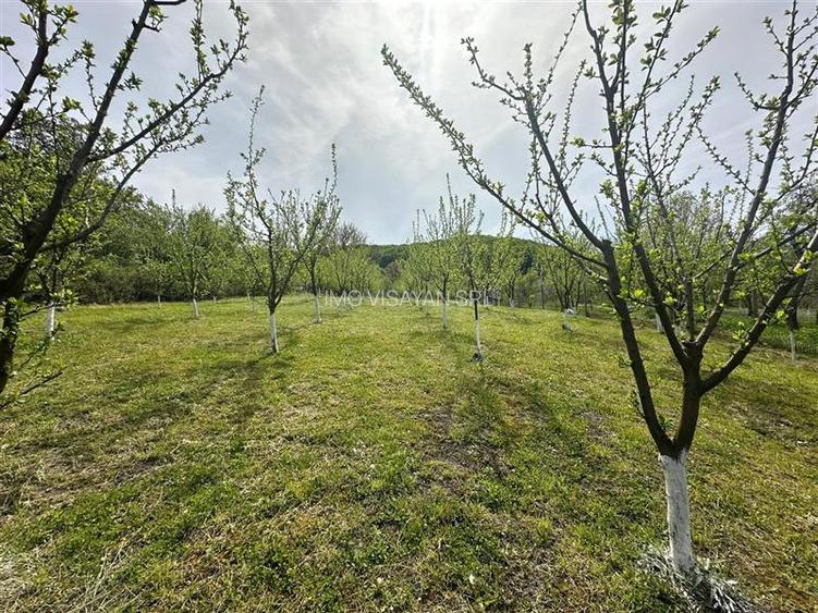 teren construibil cu livada pomi,sat Hasag,jud.Sibiu,comision 0 - 6