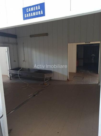 HALA ideala pentru PRODUCTIE ALIMENTARA, Poiana, Ovidiu – 827 mp, teren 4066 mp - 23