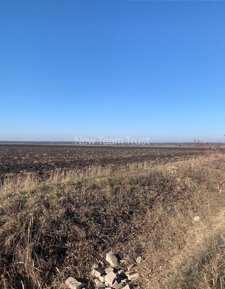 Stefanesti de Jos Vanzare  Teren  Intravilan  5,5 Hectare deschidere 121ml DJ200 - 4