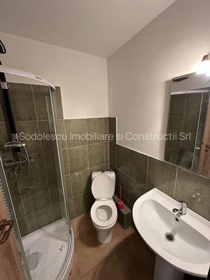 Proprietate cu piscina Dumbravita - 32