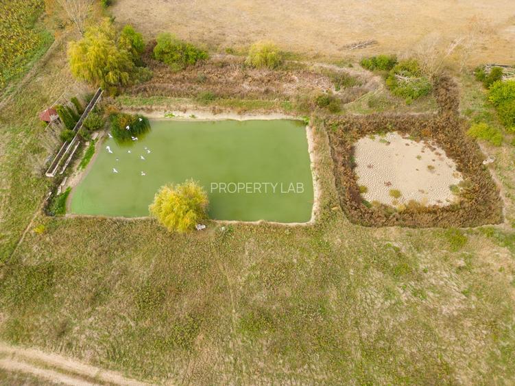 Teren intravilan cu iazuri și casă - Chișineu-Criș - 33