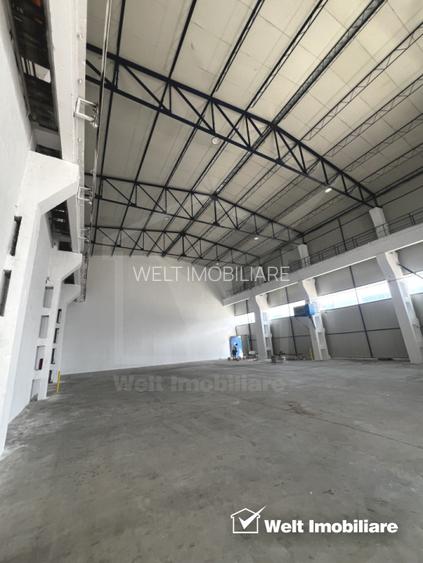 Hala depozitare sau productie 570mp, 2 rampe, Someseni - Aeroport - 3