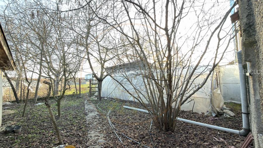 Proprietate cu 2 case | Teren 546 mp | Str. Albinelor Nr.18 - Carei - 17