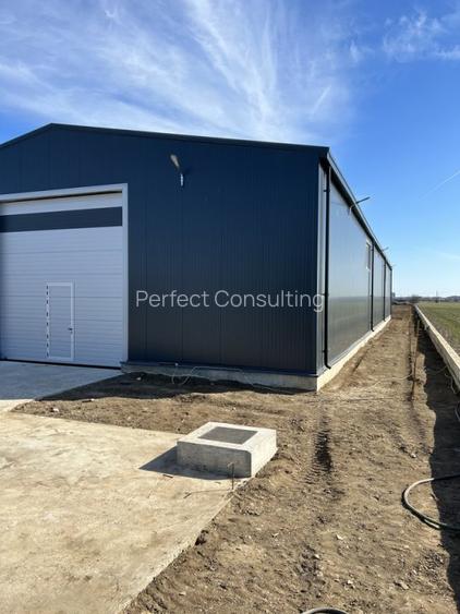 Hala noua 560 mp zona Centura Sud - Magurele - 2