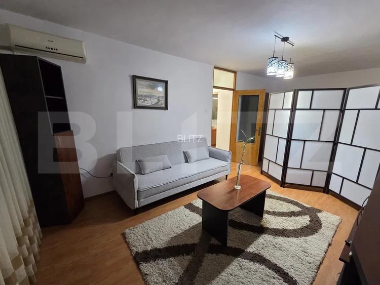 Apartament 1 camera, 42 mp, pet-friendly, zona Mehedinti