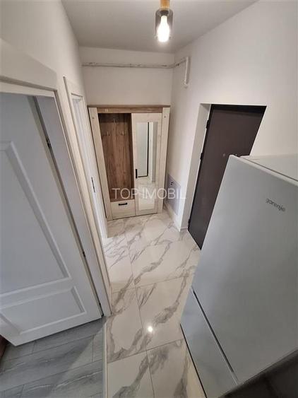 Inchiriere apartament cu 1 camera - Lunca Cetatuii - 4