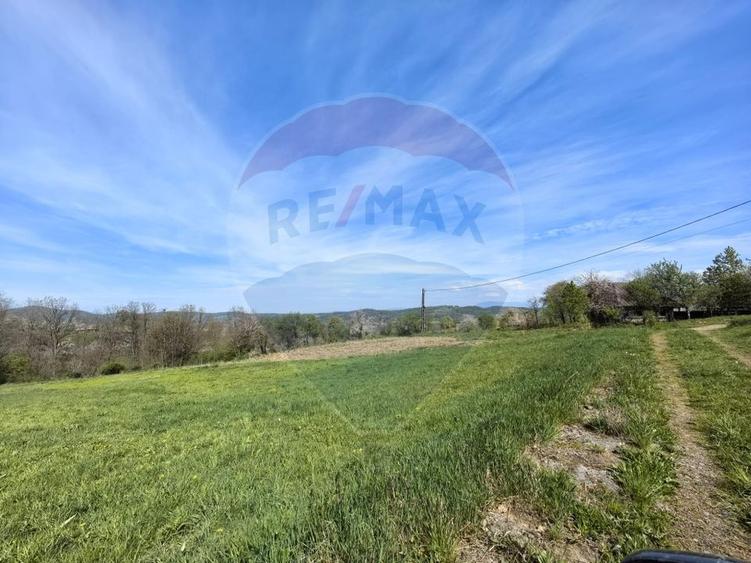 Teren intravilan de vânzare – Copalnic Mănăștur – 3.000 mp