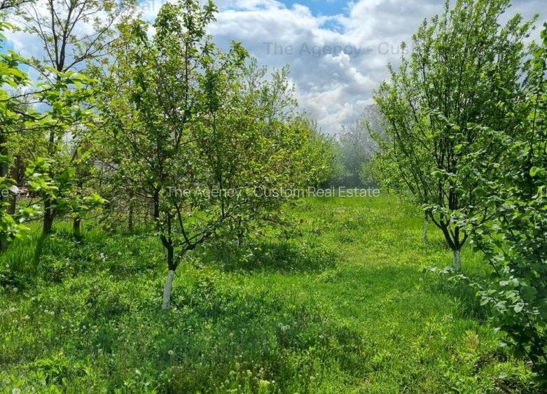 Casa individuala - 5 camere -2.400 mp - Corbeanca - 16