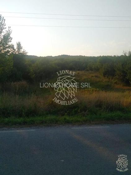 Teren 5500 mp-oportunitate investitie-pretabil cabana-Jelna - 5