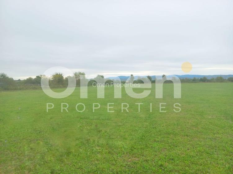 Teren intravilan 7.631 mp – Săcălășeni, lângă Baia Mare , utilități la drum - 3