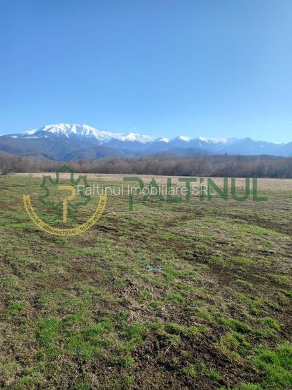 Vindem teren Sibiu, Valea Lupului, priveliste deosebita - 6