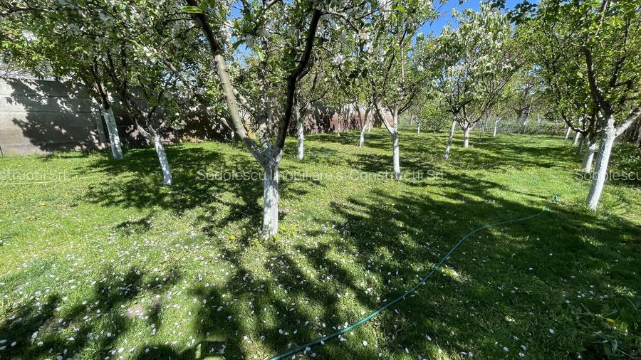 Casa cu teren frumos si garaj zona Mehala - 23