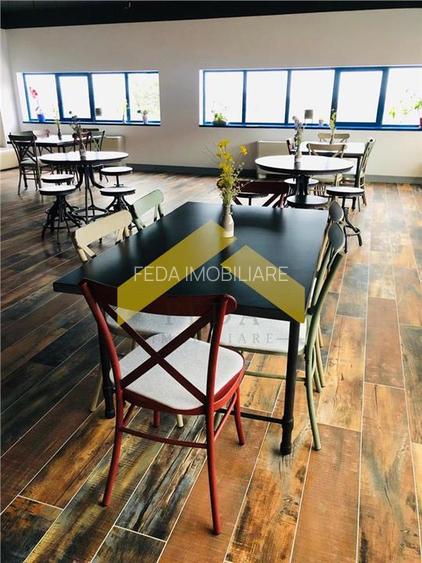 Hala de inchiriat zona industriala Vest - 9