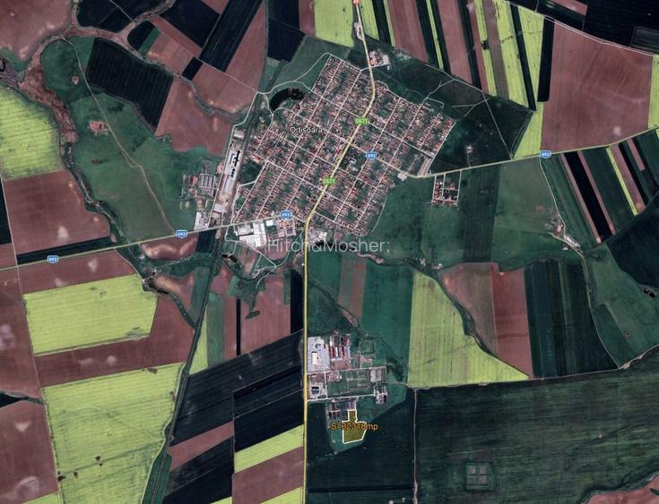 3 ha de teren intravilan Ortisoara - 4