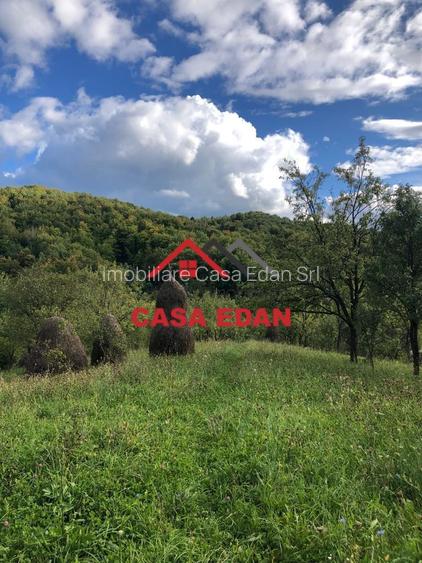 Teren extravilan in Brebu(Pietriceaua)--9104mp--50.000e - 8