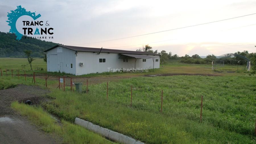 COMISION 0% Hala noua de 317 m2, intr-o zona feerica, in Ususau - 8