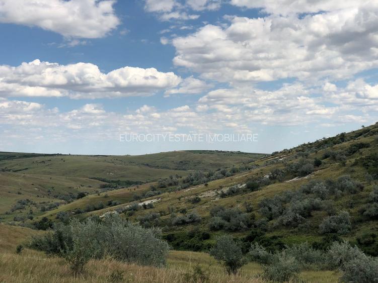 Vanzare 50 Ha pasune, judetul Prahova - 11